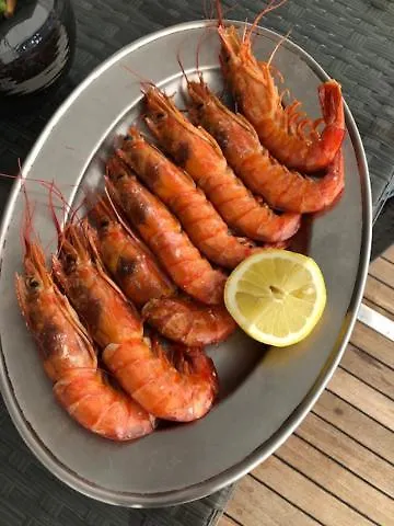 Johnny M Yacht 보트호텔